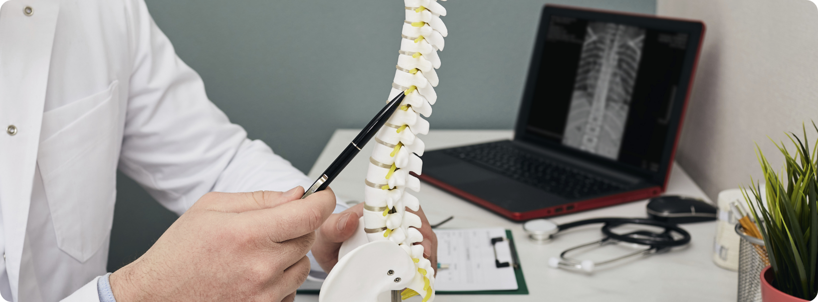 볼펜으로 척추모형의 한 부분을 가르키고 있는 의사의 손 확대